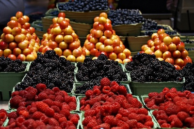 resort in jawai with swimming pool